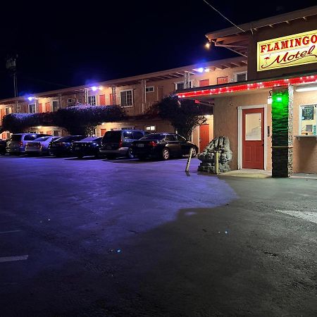 Flamingo Motel Όξναρντ Εξωτερικό φωτογραφία