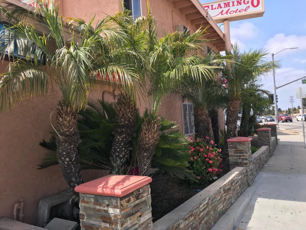 Flamingo Motel Όξναρντ Εξωτερικό φωτογραφία