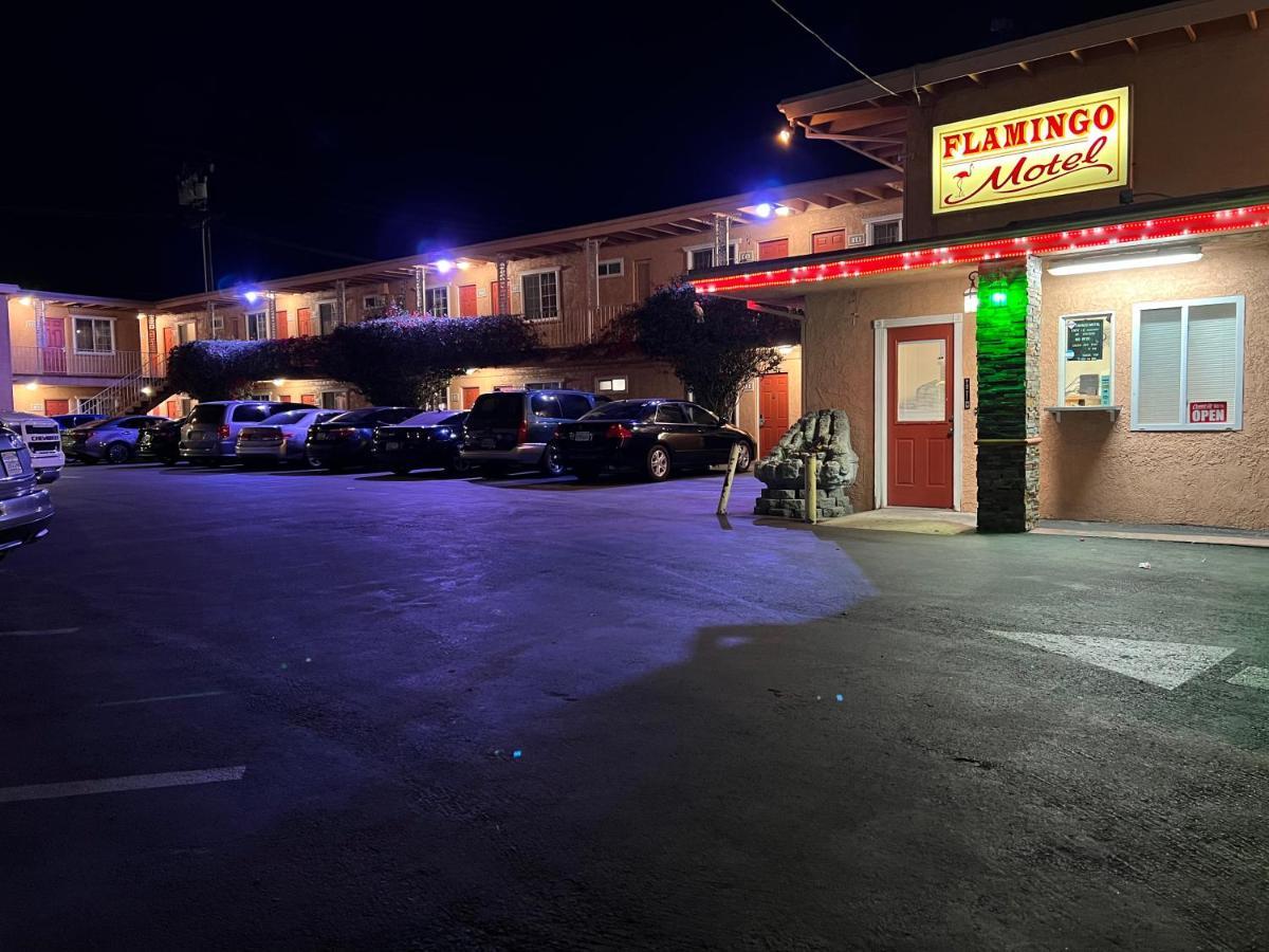 Flamingo Motel Όξναρντ Εξωτερικό φωτογραφία