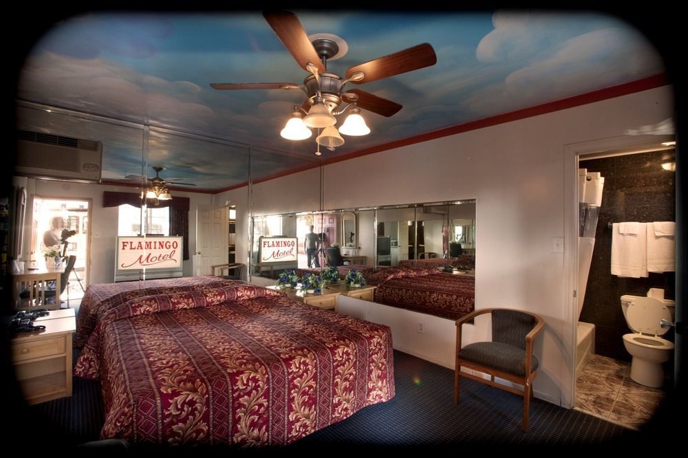 Flamingo Motel Όξναρντ Εξωτερικό φωτογραφία